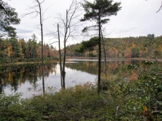 Hoar Pond at Nussdorfer Nature Area