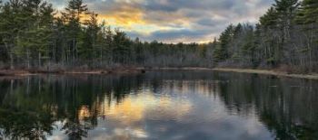 Waterloom Pond